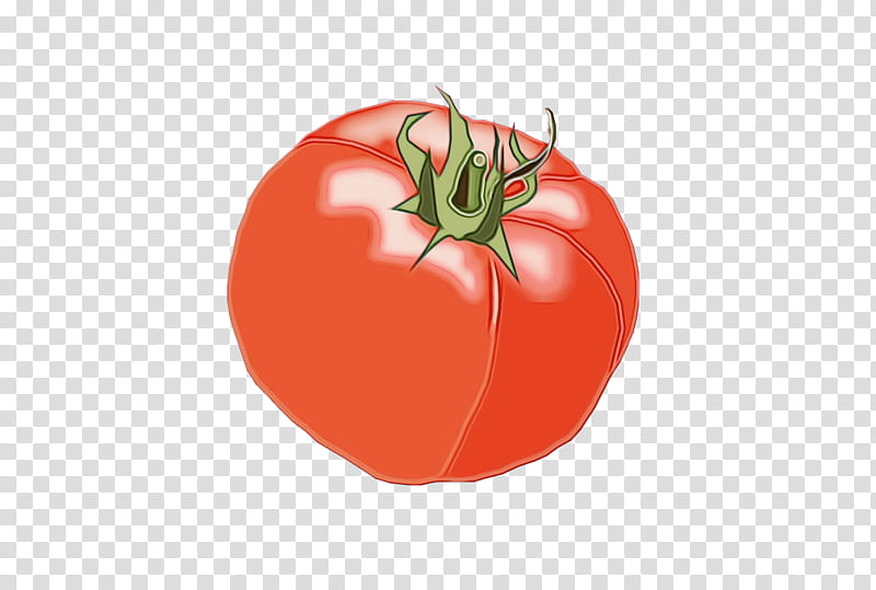 Tomato, Plum Tomato, Food, Bush Tomato, Tomatom, Local Food, Taste, Natural Foods transparent background PNG clipart