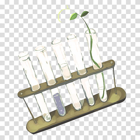 , plant in testube along with other testubes illustration transparent background PNG clipart