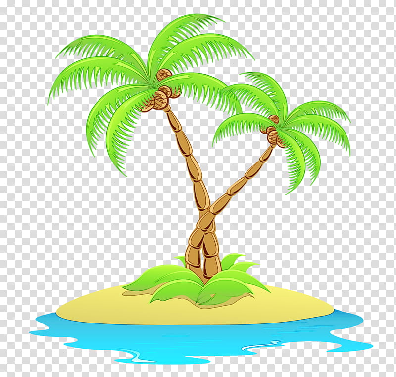 Coconut Tree, Hakuna Matata Maui Hostel, Beach, Travel, Review, Backpacker Hostel, Resort, Palm Tree transparent background PNG clipart