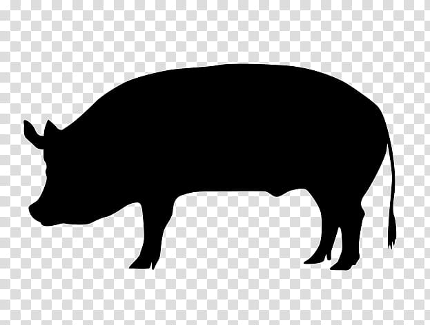 pig food clipart black