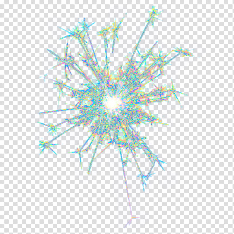Sparkler, Fireworks, Holography, Explosion, Flame, Line, Plant transparent background PNG clipart