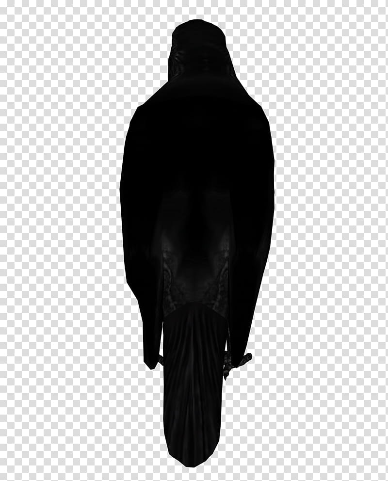 D Black Crows, black bird illustration transparent background PNG clipart