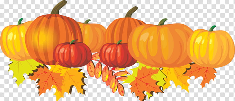 Fall Leaf, Pumpkin, Field Pumpkin, Cucurbita Maxima, Fall Pumpkins Orange And Plump, Blog, Autumn, Thanksgiving transparent background PNG clipart