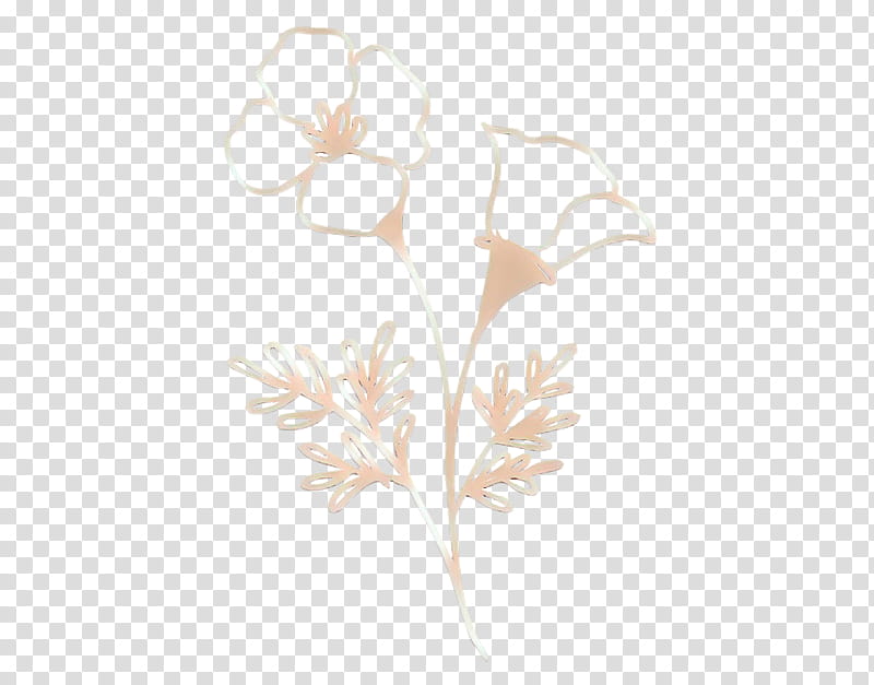 Bubbles Drawing, Leaf, Twig, Flower, Persian Buttercup, Branch, Petal, Blossom Bubbles And Buttercup transparent background PNG clipart