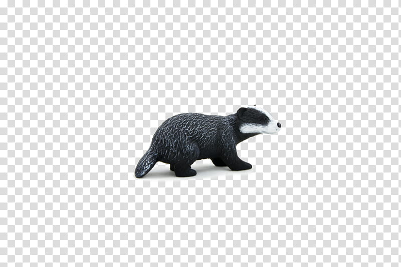 Otter, European Badger, Raccoon, Honey Badger, Drawing, Animal, Cat, Bear transparent background PNG clipart