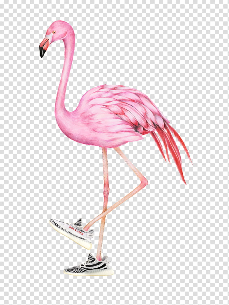 Flamingo Watercolor, Watercolor Painting, Art, Drawing, Canvas Print, Work Of Art, Artist, Printing transparent background PNG clipart