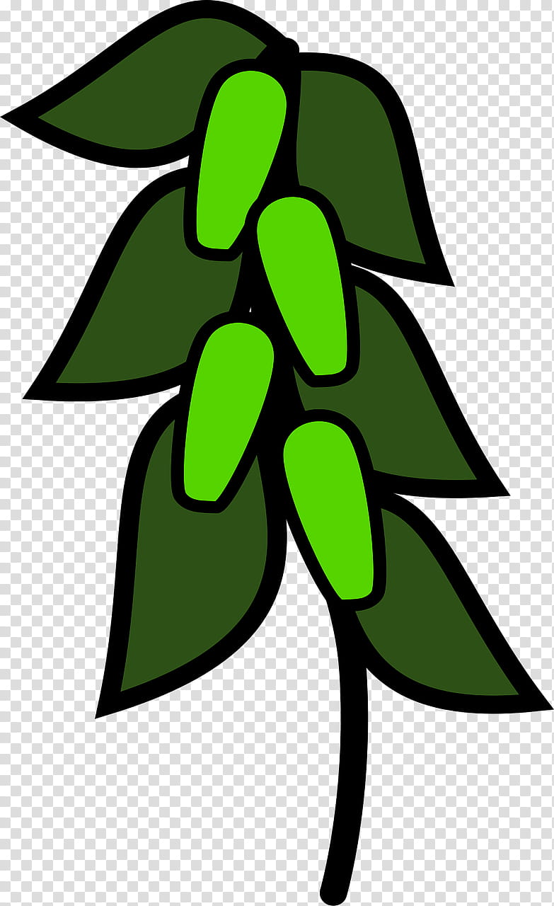 Leaf Green Tea, Pea Soup, Green Pea, Vegetable, Snow Pea, Peanut, Tea Plant, Peas transparent background PNG clipart