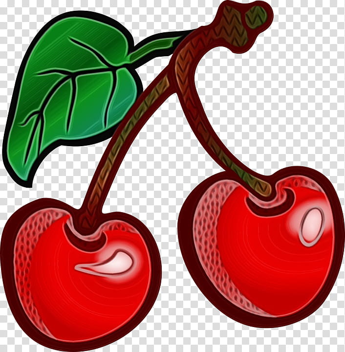 Cherries Cherry pie Rainier cherry Tart Maraschino cherry, Watercolor, Paint, Wet Ink, Barbados Cherry, Berries, Sour Cherry, Drawing transparent background PNG clipart