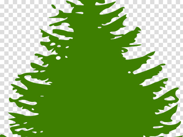Christmas Tree Silhouette, Pine, Christmas, Eastern White Pine, Conifer Cone, Fir, Green, Leaf transparent background PNG clipart