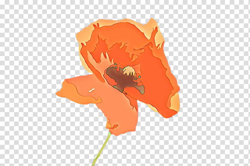 Orange, Cartoon, Red, Coquelicot, Flower, Poppy Family, Leaf, Plant transparent background PNG clipart