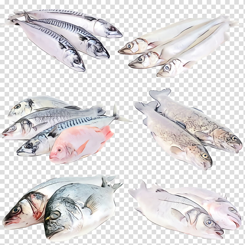 fish fish products fish oily fish seafood, Watercolor, Paint, Wet Ink transparent background PNG clipart