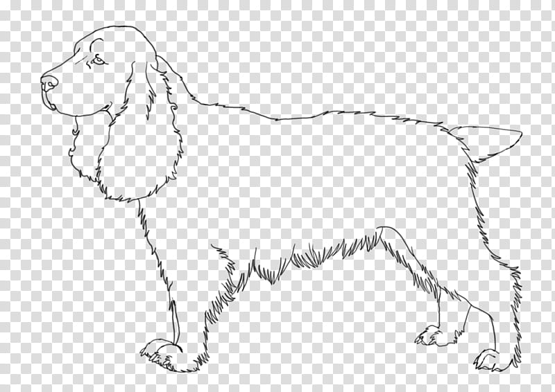 Field Spaniel Lineart, black dog illustration transparent background PNG clipart