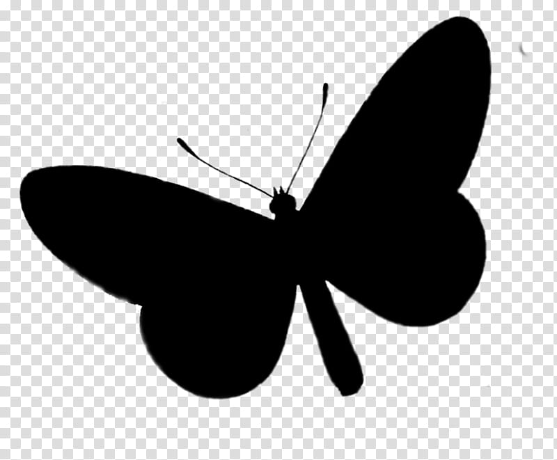 Butterfly Silhouette, Brushfooted Butterflies, Insect, Line, Membrane, Moths And Butterflies, Wing, Pollinator transparent background PNG clipart
