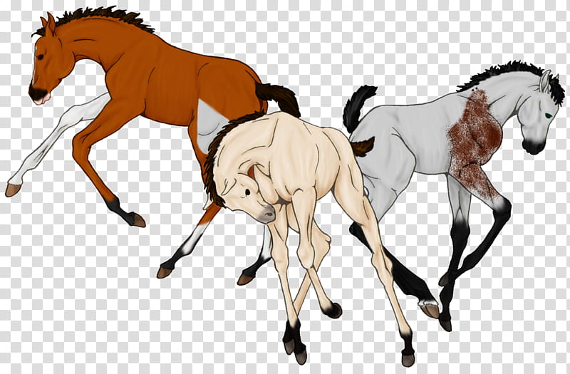 Copper Will Bree and Eddie transparent background PNG clipart