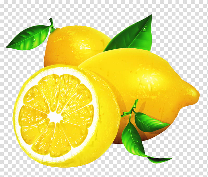 Lemon Leaf, Lime, Sweet Lemon, Key Lime, Mandarin Orange, Tangelo, Rangpur, Persian Lime transparent background PNG clipart