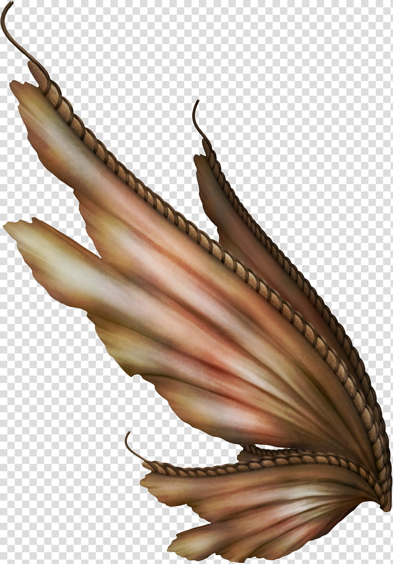 Leafy Wings , brown accessory art transparent background PNG clipart