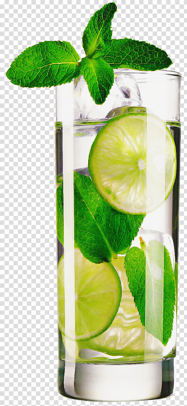 green lime key lime plant highball glass, Lemon, Citrus, Lemonlime, Persian Lime, Cocktail Garnish transparent background PNG clipart