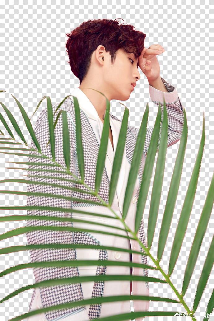 WINWIN NCT CECI, man facing sideways transparent background PNG clipart