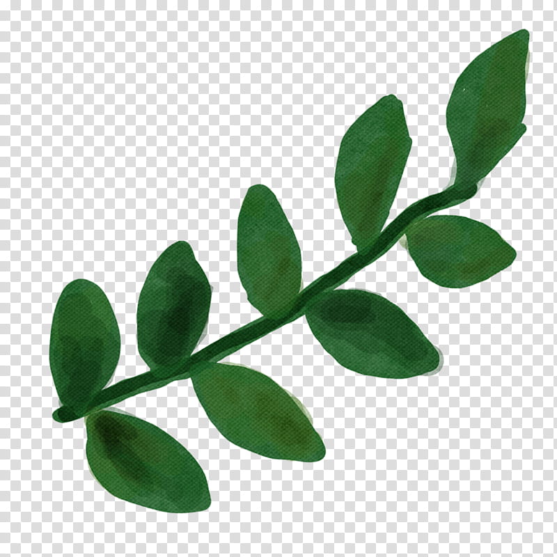 watercolor vintage flowers , green leafed plant illustration transparent background PNG clipart