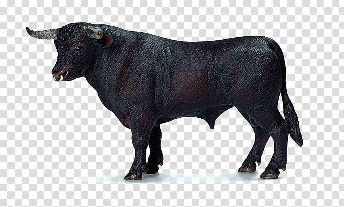 schleich black angus cow