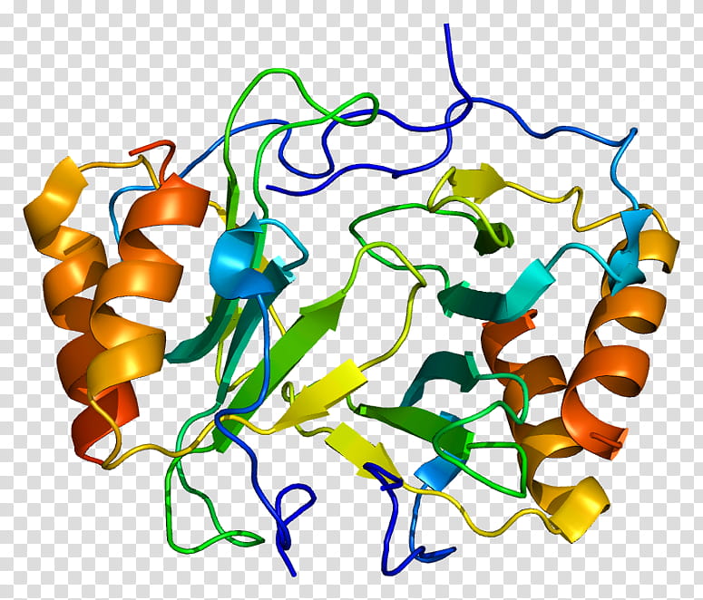 Platelet Factor 4 Line, Chemokine, Cytokine, Cxc Chemokine Receptors, Protein, Cxcl1, Interleukin 8, Structure transparent background PNG clipart
