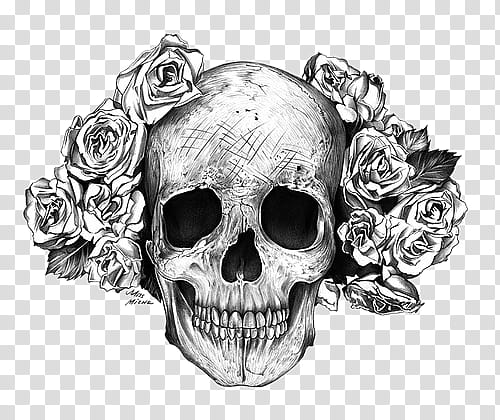, floral skull artwork transparent background PNG clipart