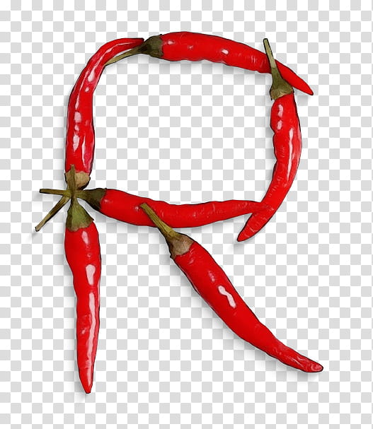 chili pepper malagueta pepper tabasco pepper bird's eye chili serrano pepper, Watercolor, Paint, Wet Ink, Birds Eye Chili, Cayenne Pepper, Bell Peppers And Chili Peppers, Peperoncini transparent background PNG clipart