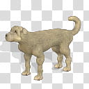 Spore creature Kangal dog , beige puppy illustration transparent background PNG clipart