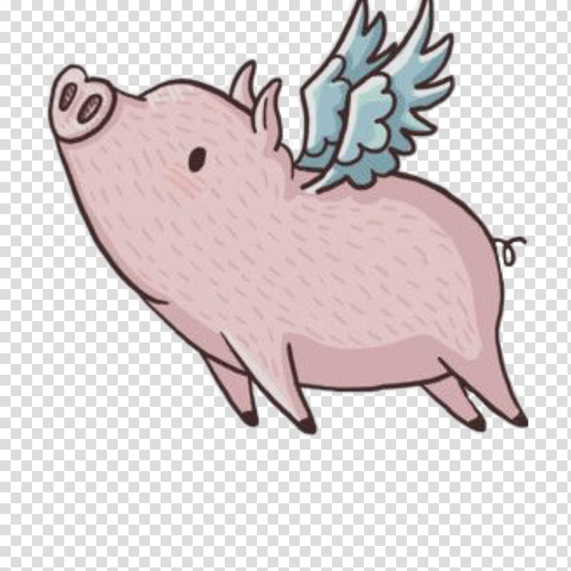 Pig, Pig Wing, Miniature Pig, When Pigs Fly, Drawing, Cartoon, Sticker, Pink transparent background PNG clipart