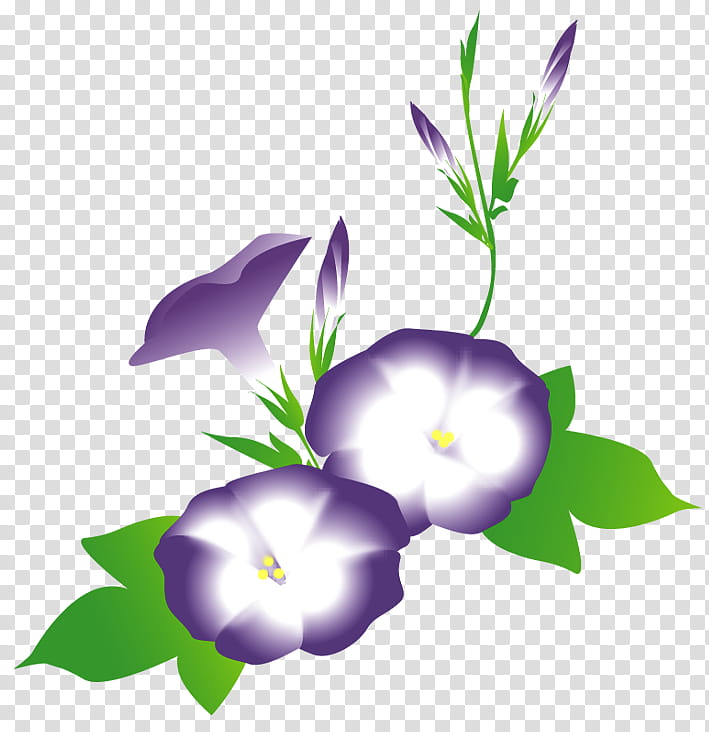 Violet Flower, Bellflower Family, Herbaceous Plant, Family M Invest Doo, Plants, Flora, Purple, Petal transparent background PNG clipart