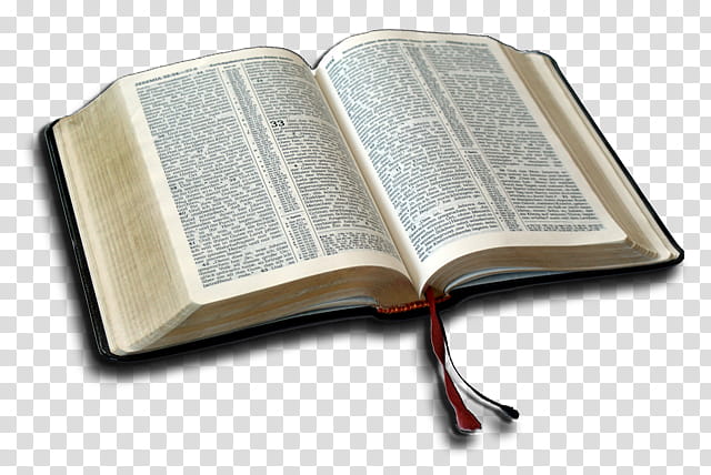 Study, Bible, Religious Text, BIBLE STUDY, God, Christadelphians, Protestantism, Sermon transparent background PNG clipart