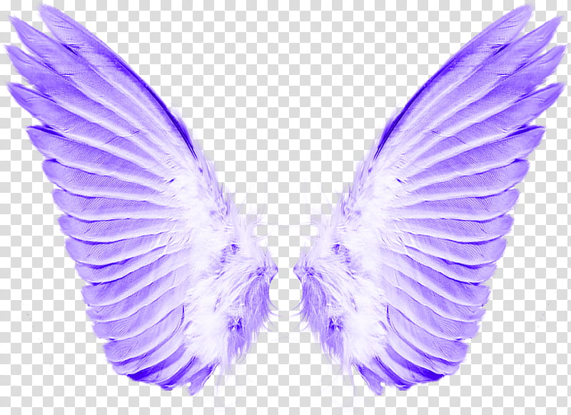 Angel PNG transparent image download, size: 900x675px