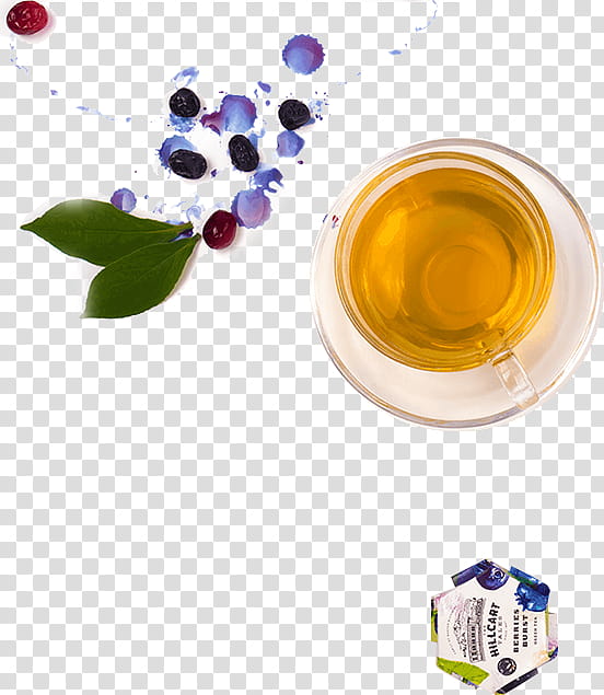 Fruit, Berries, Blueberry, Chokeberry, Liquid, Plant transparent background PNG clipart