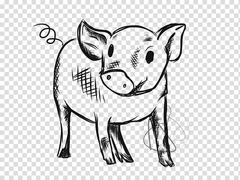 Pig, Cattle, Line Art, Live, Cartoon, Research, Field Research, Data Collection transparent background PNG clipart