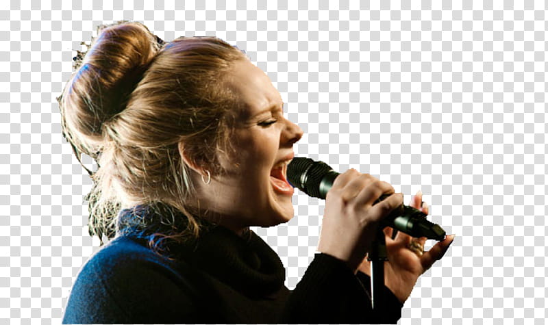 Adele transparent background PNG clipart