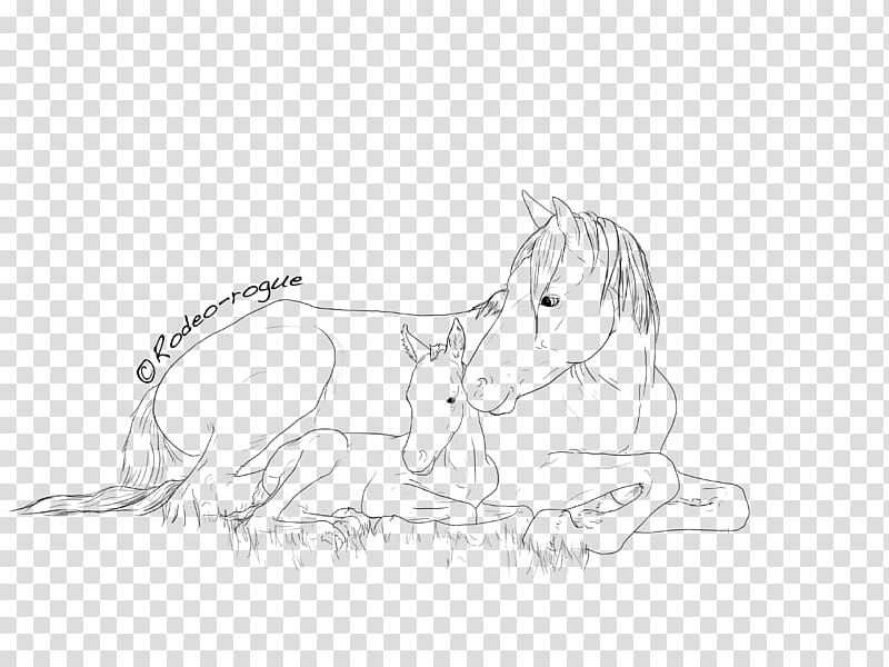 Mare and Foal Lineart, sketch of horse transparent background PNG clipart