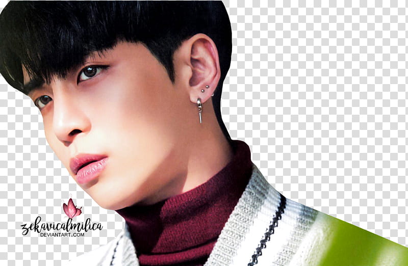 SHINee Jonghyun  Seasons Greetings transparent background PNG clipart