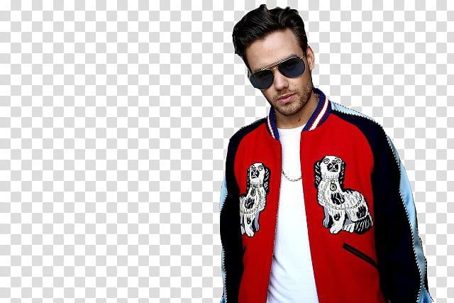 Liam Payne  transparent background PNG clipart