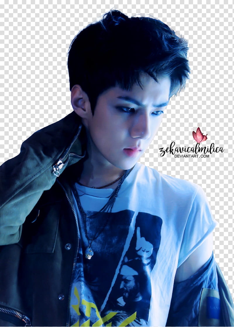 EXO Sehun LOTTO transparent background PNG clipart