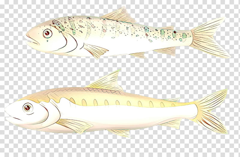 Fish, Cartoon, Sardine, Salmon, Fish Products, Mackerel, Milkfish, Osmeriformes transparent background PNG clipart