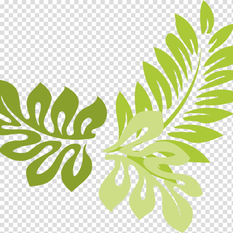 Green Grass, Fern, Sword Fern, Leaf, Vascular Plant, Nephrolepis, Flora, Tree transparent background PNG clipart