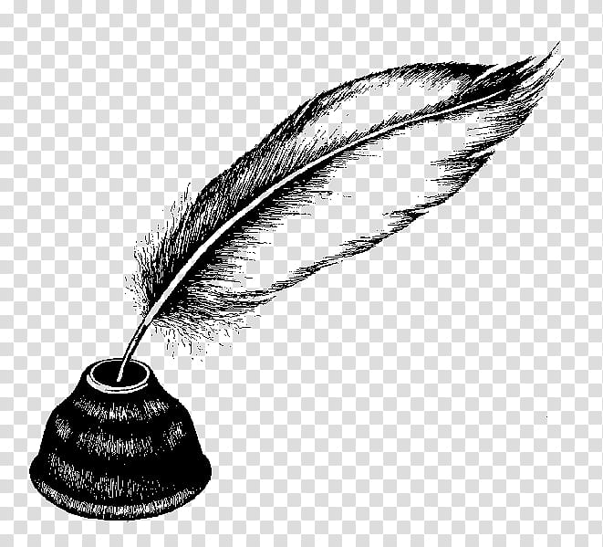 Feather, Quill, Pen, Writing Implement, Wing, Ink, Drawing, Office Instrument transparent background PNG clipart