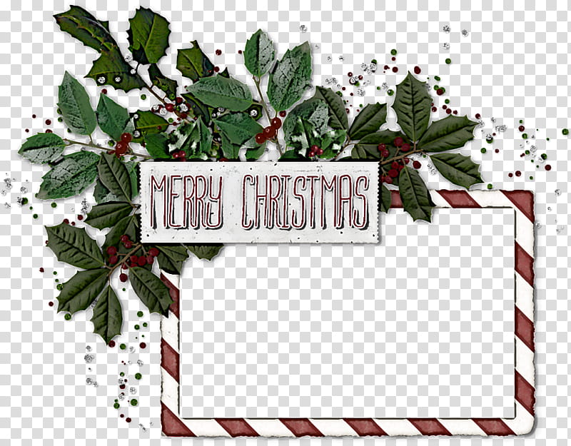 Holly, Leaf, Plant, Flower, Label, Branch transparent background PNG clipart