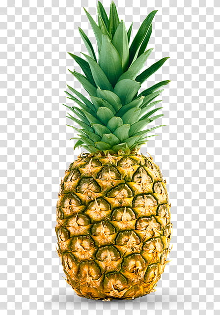 Summer s, ripe pineapple transparent background PNG clipart