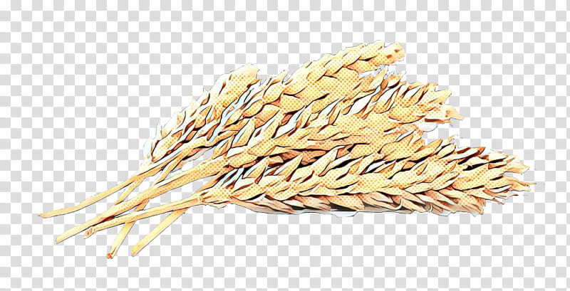 Wheat, Emmer, Cereal, Whole Grain, Cereal Germ, Spelt, Wheat Flour, Embryo transparent background PNG clipart