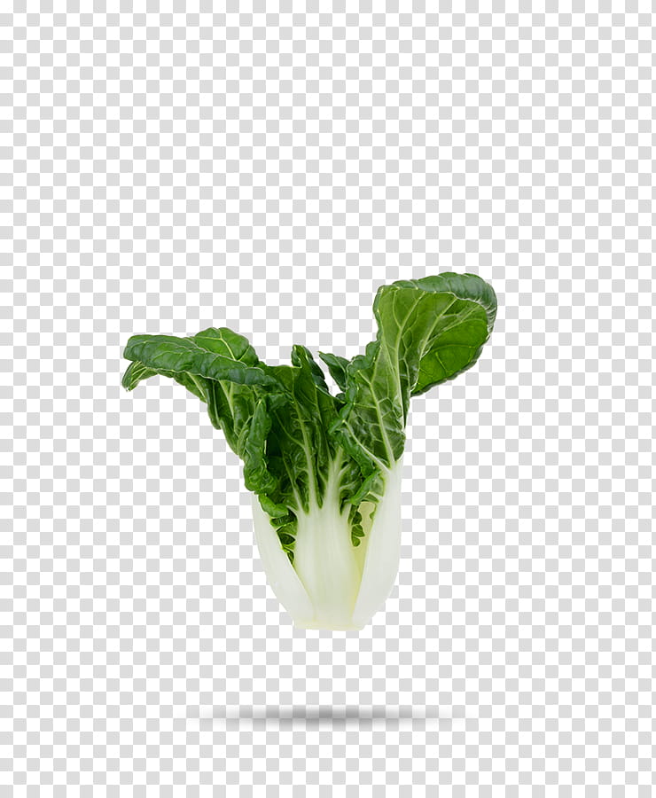Flower White, Bok Choi, Romaine Lettuce, Cabbage, Vegetable, Chard, Food, Spring Greens transparent background PNG clipart