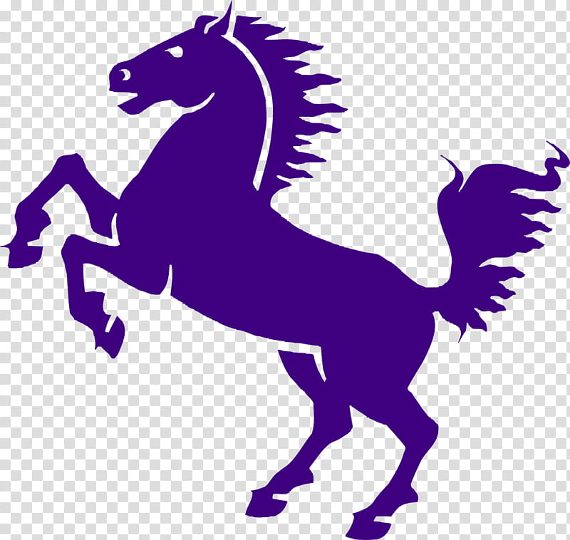 Horse, Mustang, Friesian Horse, Arabian Horse, American Quarter Horse, Stallion, Black, Marwari Horse transparent background PNG clipart