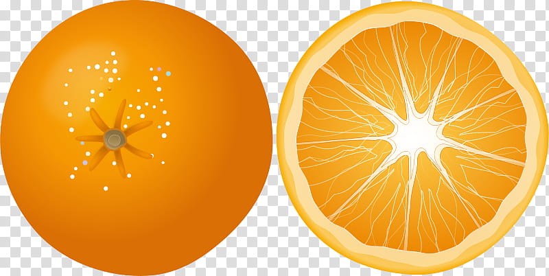 Lemon, Orange, Mandarin Orange, Fruit, Citrus, Grapefruit, Valencia Orange, Clementine transparent background PNG clipart