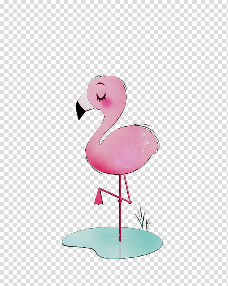 Pink Flamingo, Hashtag, Video, Phoenicopterus, American Flamingo, Tagged, Love, Day transparent background PNG clipart