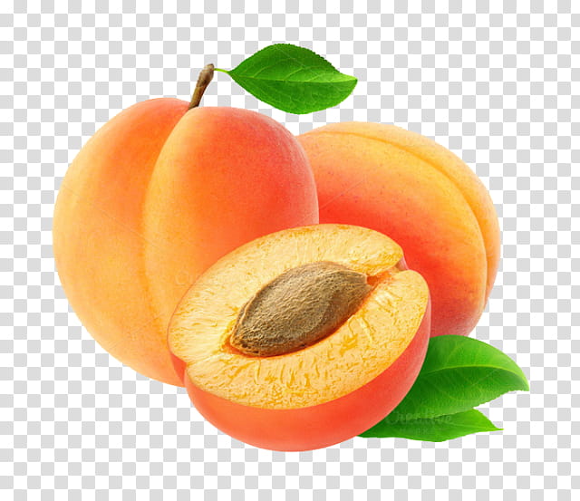 Fruit Tree, Apricot, Apricot Kernel, Food, Apricot Oil, European Plum, Peach, Plant transparent background PNG clipart
